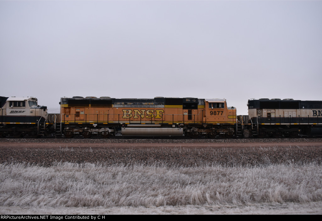 BNSF 9877